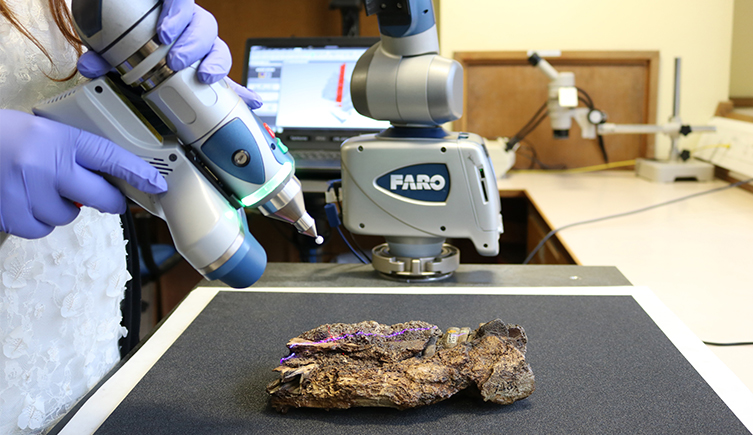The specimens being scanned