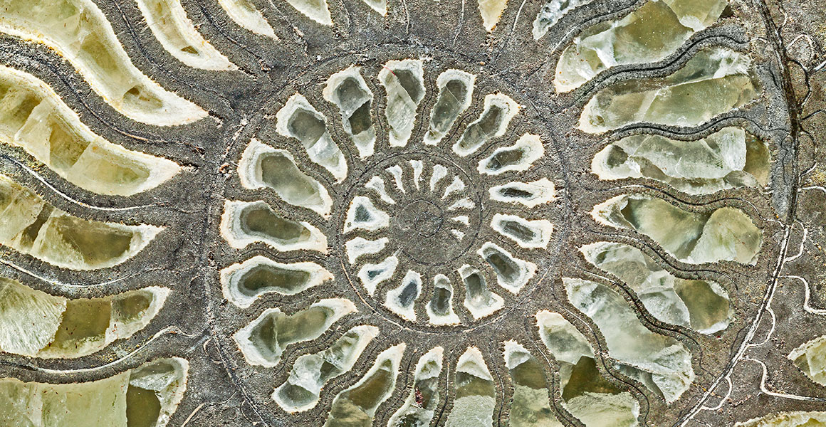 Oxynoticeras lymense ammonite infilled with green calcite