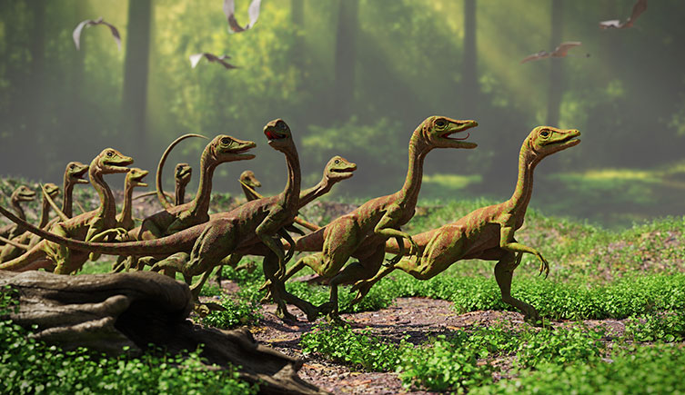 Artist's impression of a herd of running Compsognathus dinosaurs