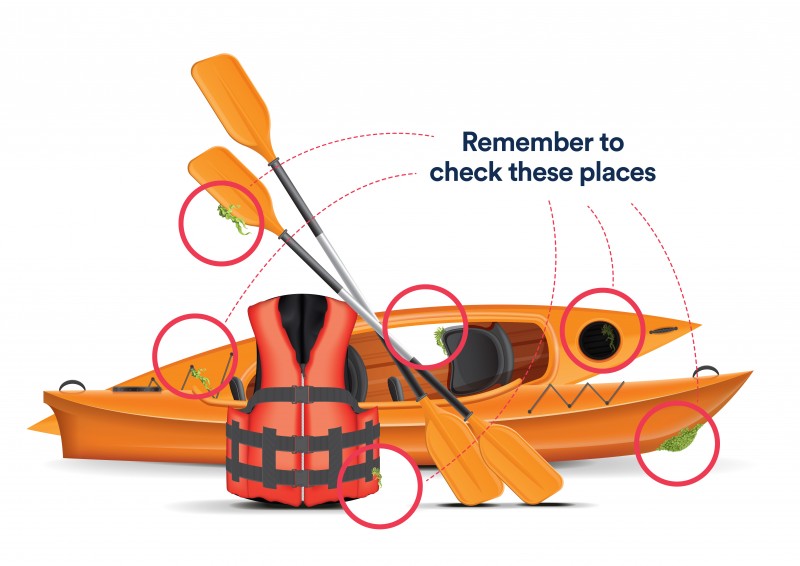 Illustration of two canoes, a life jacket and paddles, with red circles highlighting fragments of invasive plants attached to them