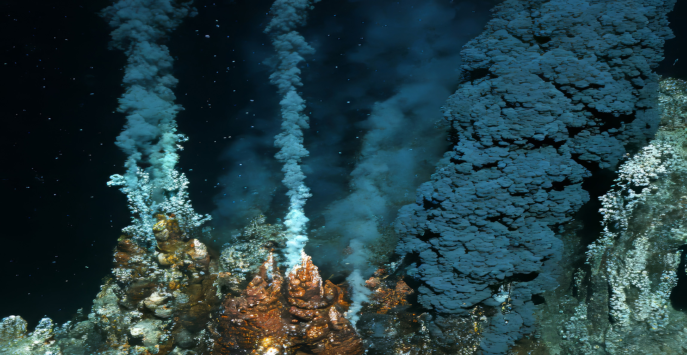 Deep-sea hydrothermal vents on the ocean floor