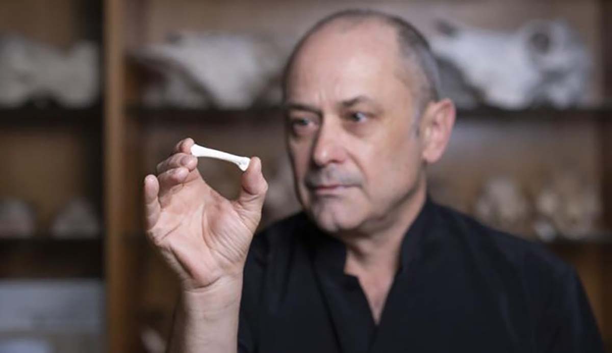 Professor Philip Piper holding the cast of a Homo luzonensis foot bone.