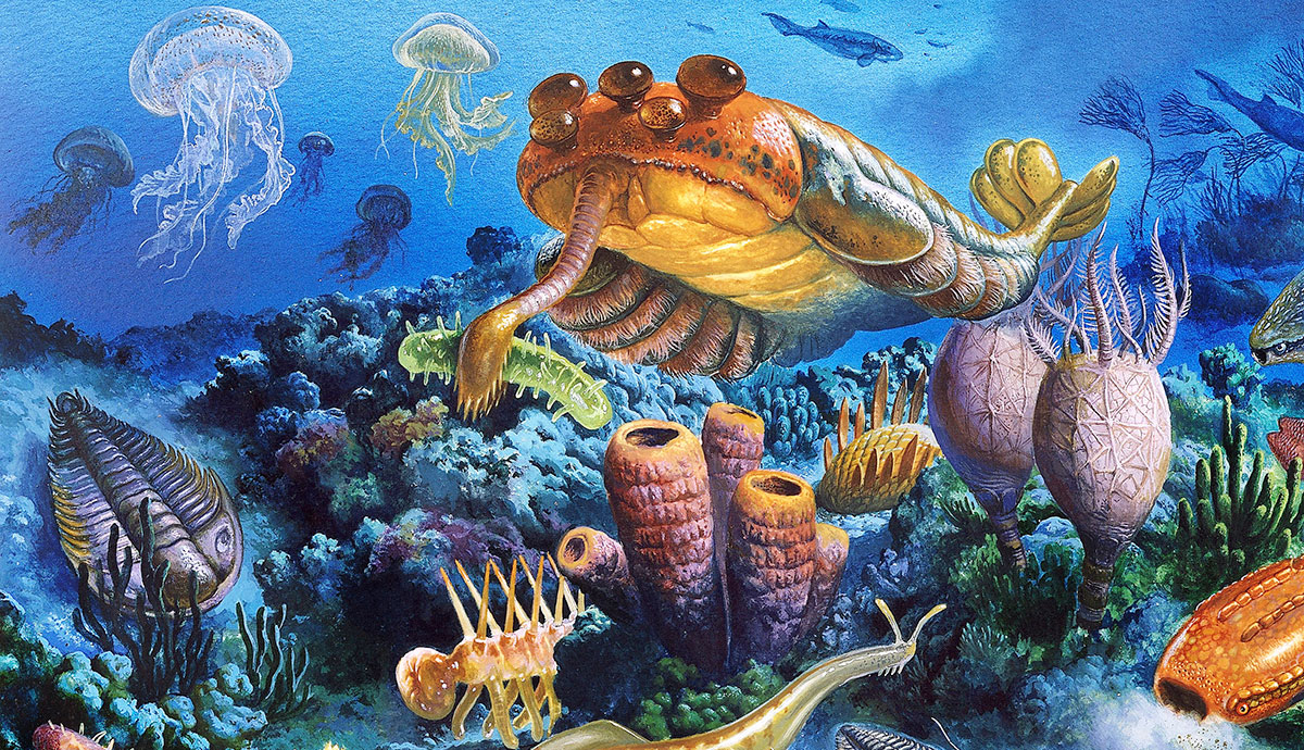 An illustration of a prehistoric marine environment including the stalk-eyed arthropod Opabinia swimming in the water column and a trilobite on the seafloor