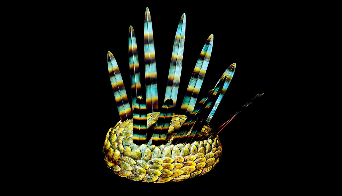 A round animal covered in scales with several large, feather-like scales protruding upwards from its body