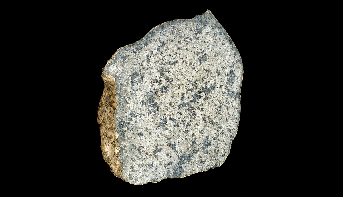 Close up of the SaU 008 meteorite