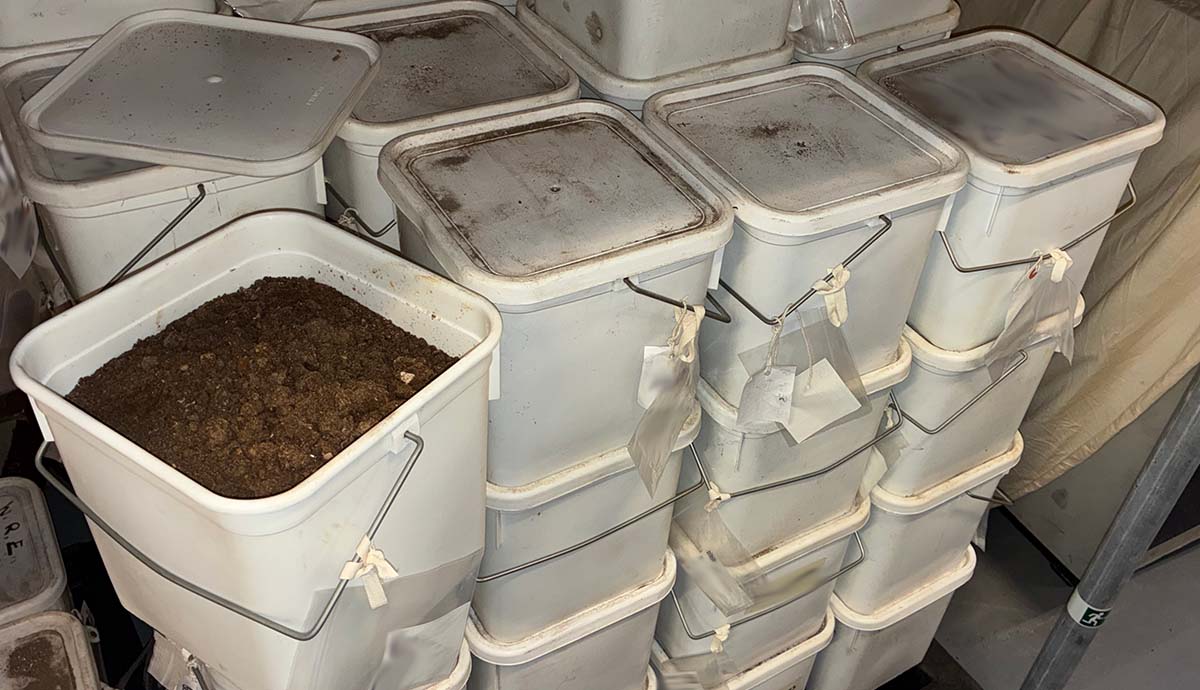 A stack of white plastic tubs. One is open, showing it’s full of sand and mud.