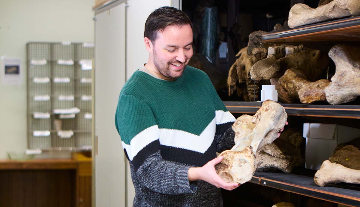 Neil Adams smiles as he picks up a large fossil leg bone from an open cabinet.