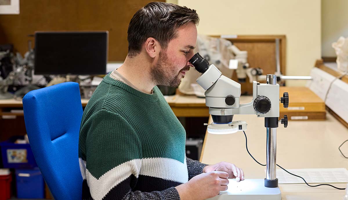 Neil Adams looks at a tiny tooth fossil through a microscope.