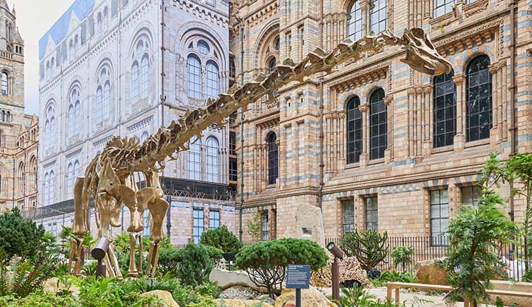 The bronze Diplodocus cast amongst green plants in front of the Natural History Museum. 