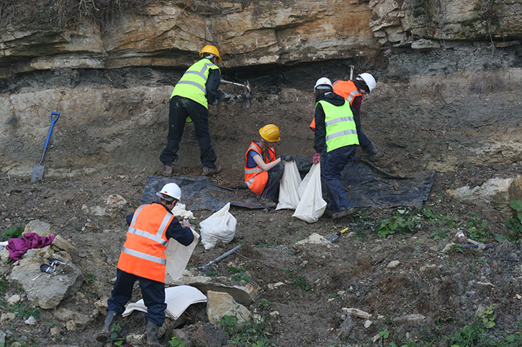 Five Museum scientists digging out sediment layers using pick axes, shovels and trowels