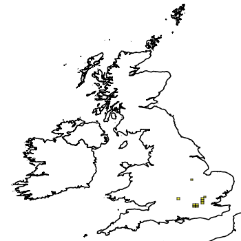 Map of the UK with areas shaded to show the UK distribution