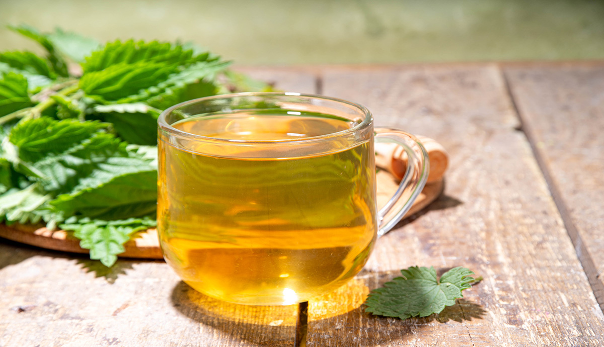 Nettle tea in a glass mug with nettles in the background