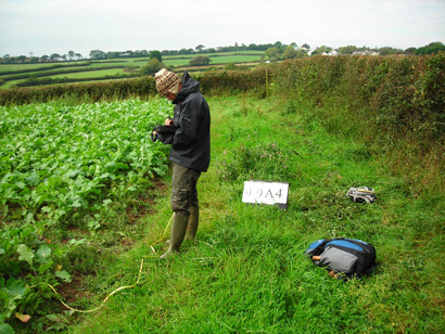 Countryside Field Survey Countryside Field Survey