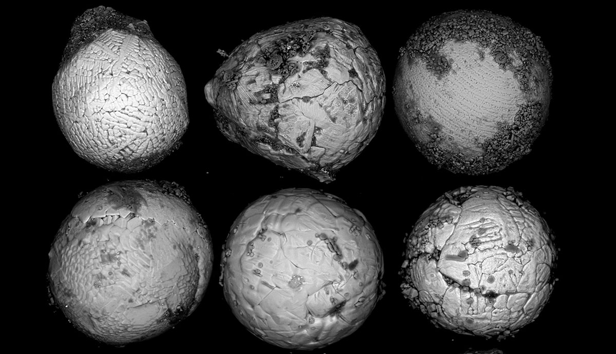 Microscope images of tiny micrometeorites