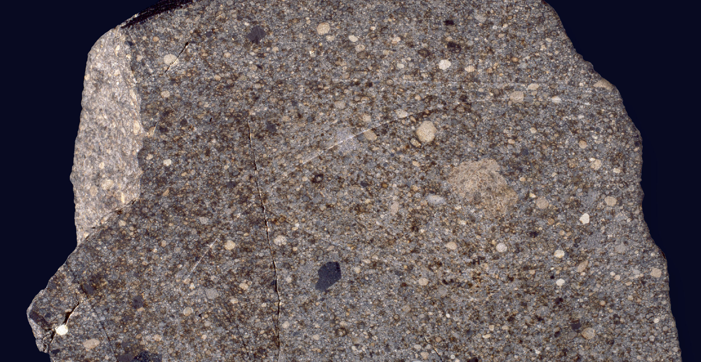 A close-up of a meteorite filled with small, round, rocky inclusions