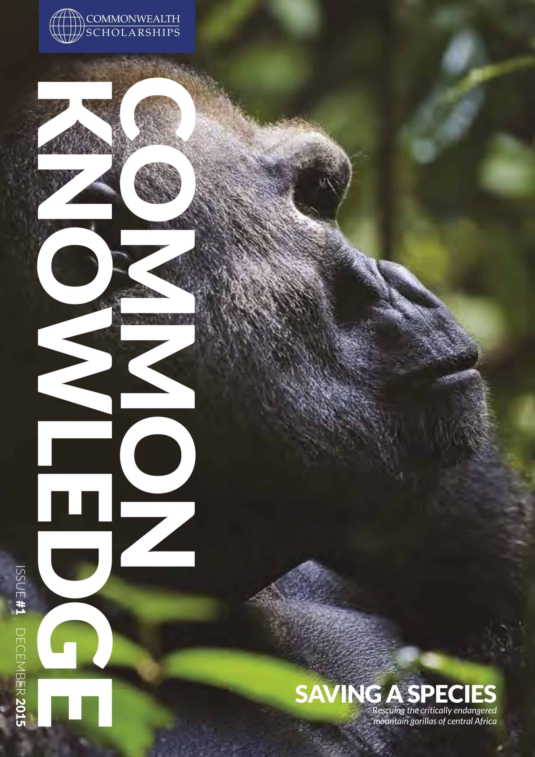 Common Knowledge - Issue#1