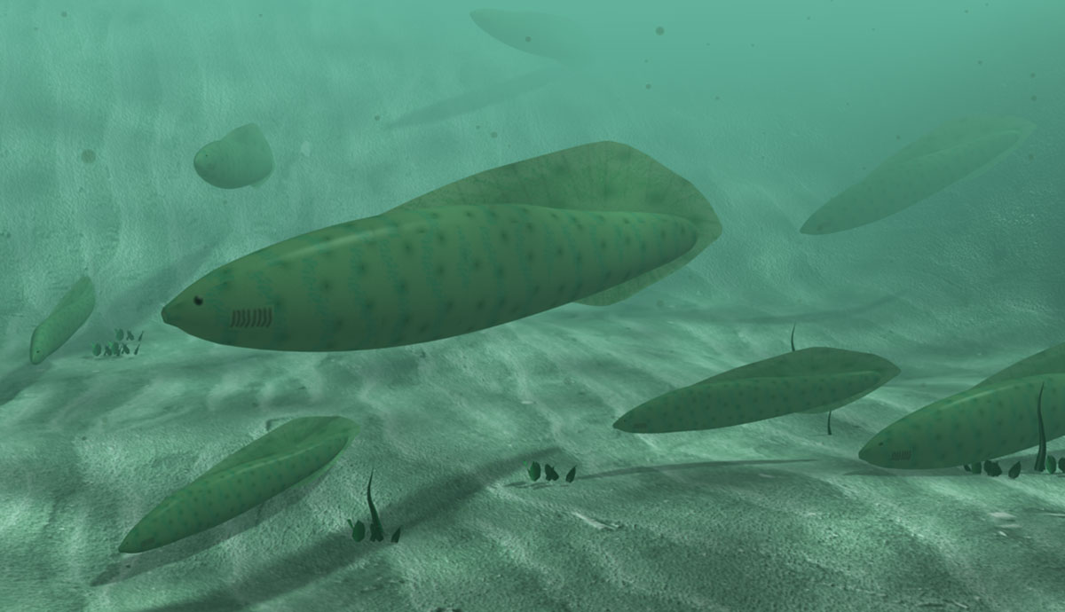 Illustration of a school of early fish swimming near the seafloor