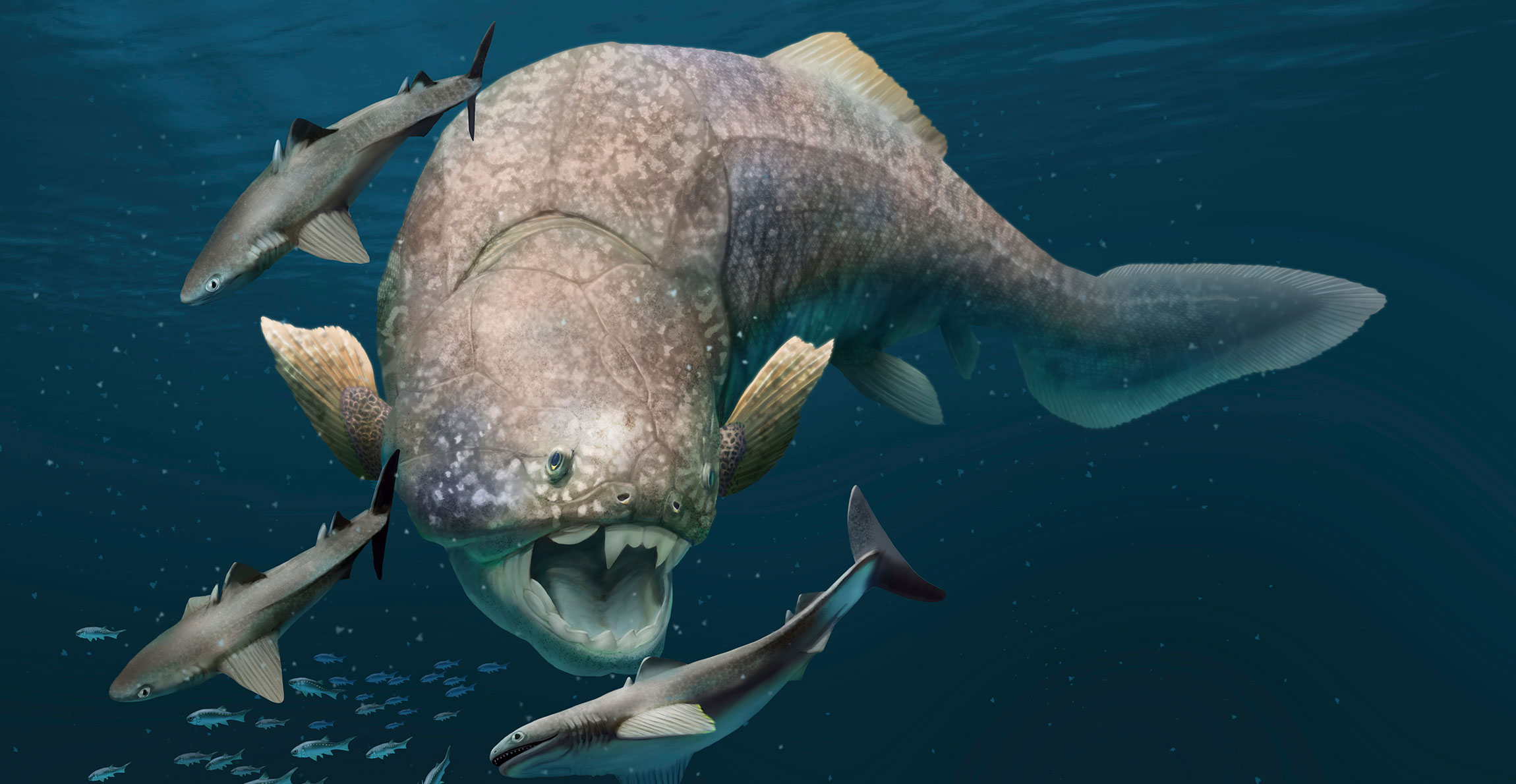 An artist's impression of Dunkleosteus hunting