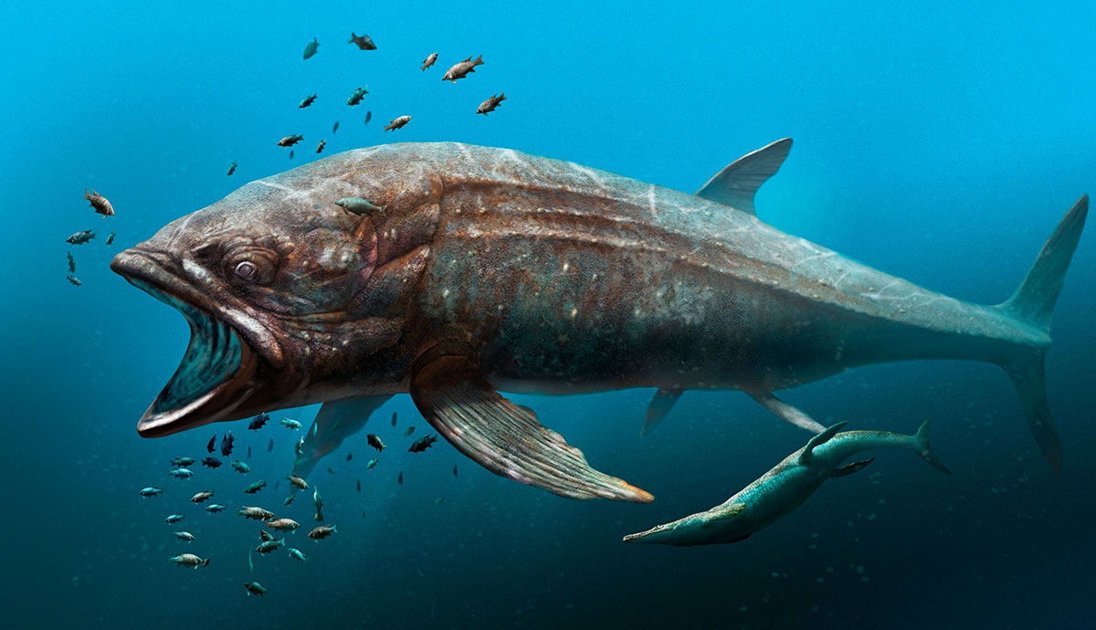 An artist's impression of the enormous bony fish Leedsichthys swimming amongst smaller fishes