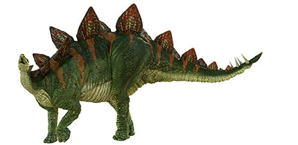 Artist's impression of Stegosaurus with green and brown colouration. It has a small head, distinctive triangular plates along its back and tail spikes.