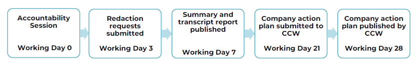 Timeline diagram showing the reporting process for Accountability Sessions, with key milestones from Day 0 to Day 28.