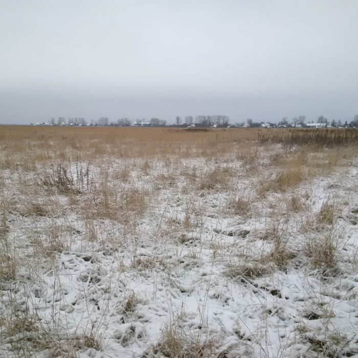 keg-island-old-airfield