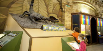A photograph of an animatronic scorpion in the gallery