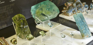 A photograph of a display in the Earth's Treasury gallery
