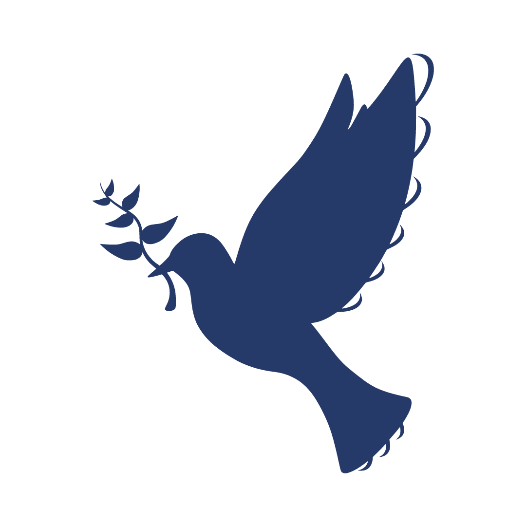 Strengthening global peace, security and governance icon