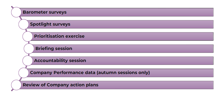 Vertical flow diagram showing seven steps for consumer panellists: Barometer, Spotlight surveys, Prioritisation exercise, Briefing session, Accountability session, Company Performance data (autumn sessions only), and Review of Company action plans (once established).