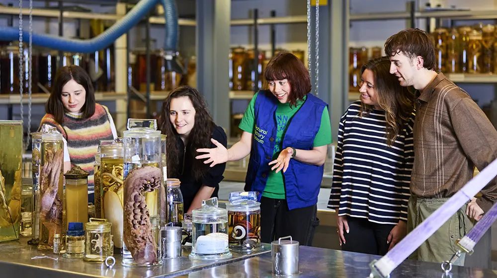 A guide shows speciments preserved in spirit