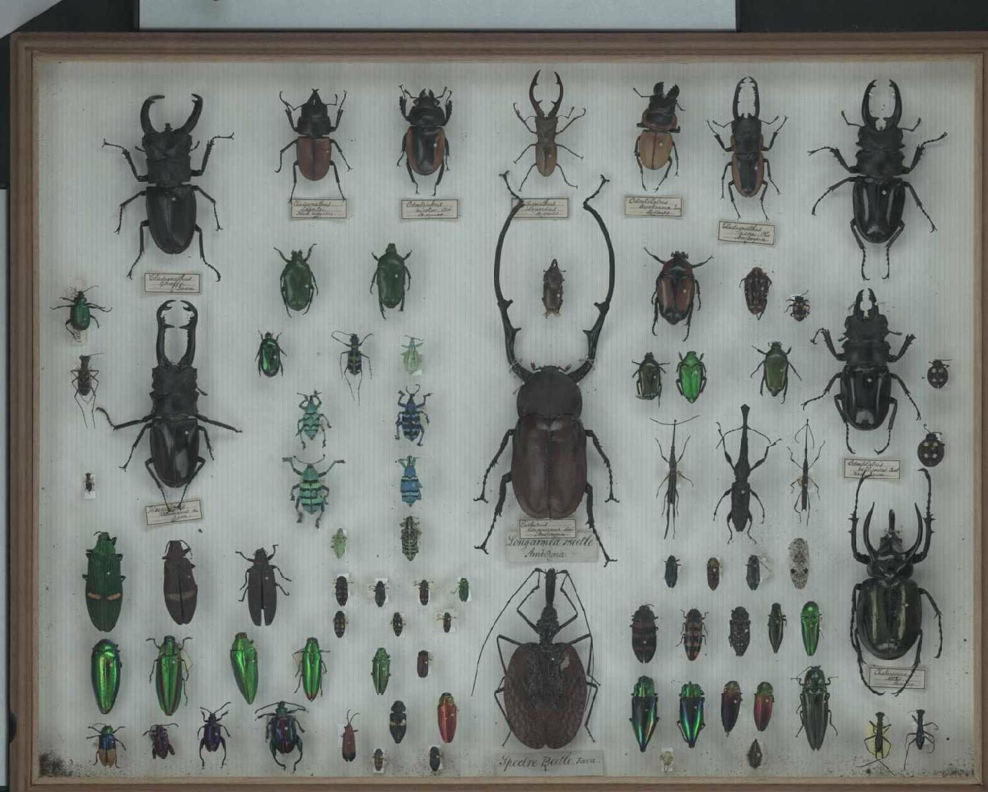 Wallace Collection:  drawer 25