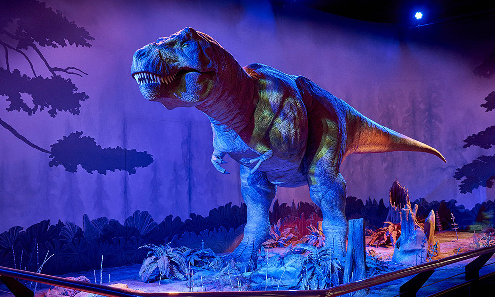 A photo of the animatronic T-rex in the Dinosaurs gallery, lit up in blue lighting