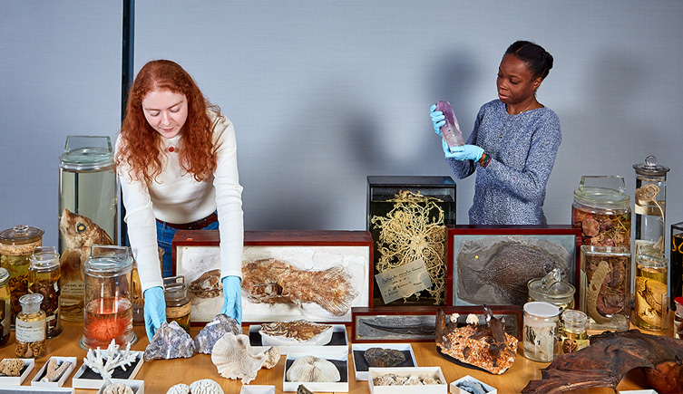 Two curators hold specimens next ro a table full of items from the collections