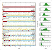 Example output from the Summarise tool