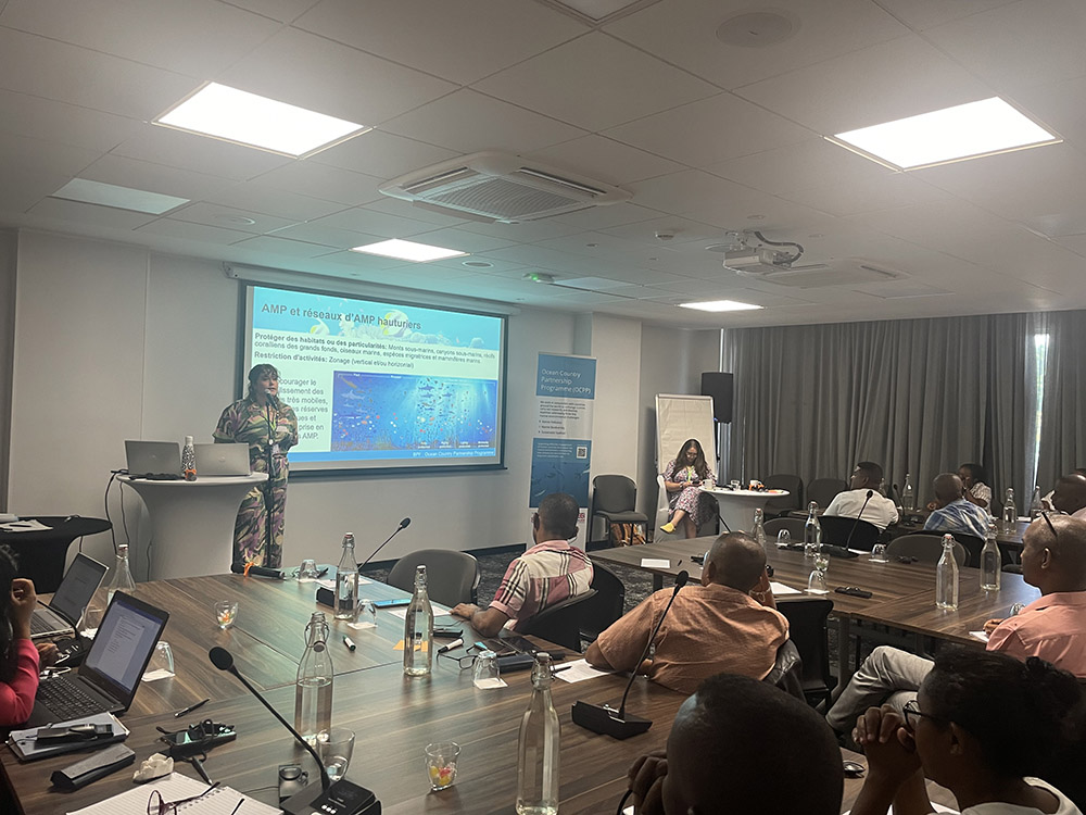 Holly Presenting on MPA Implementation ©Alice Cornthwaite