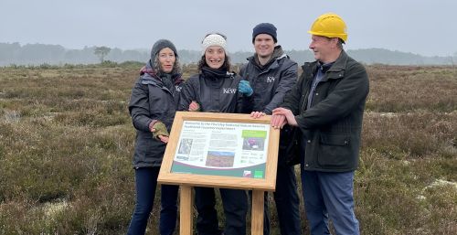 ©Kew four people standing behind an interpretation board on Thursley common