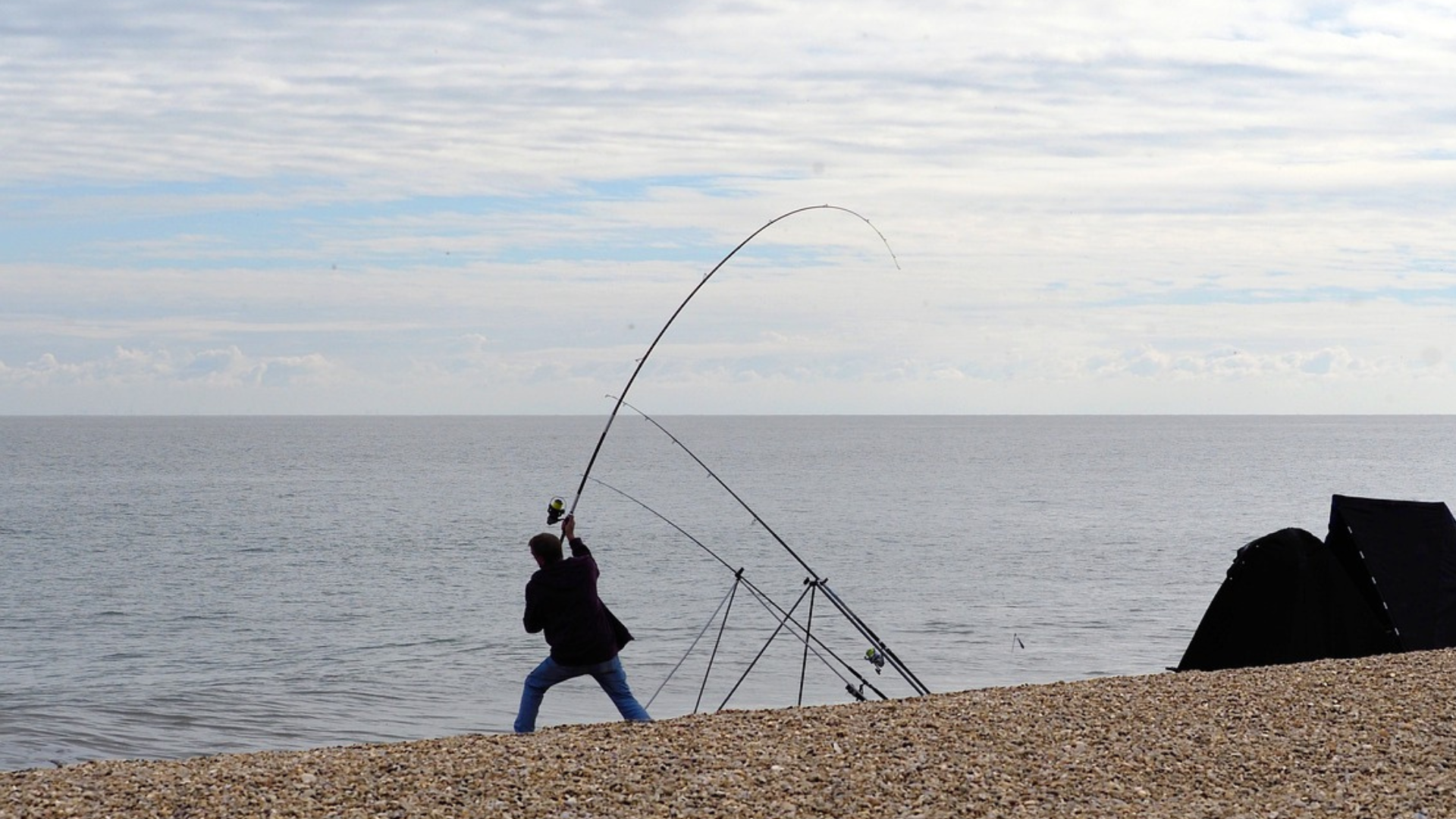 Sea angler on a beach