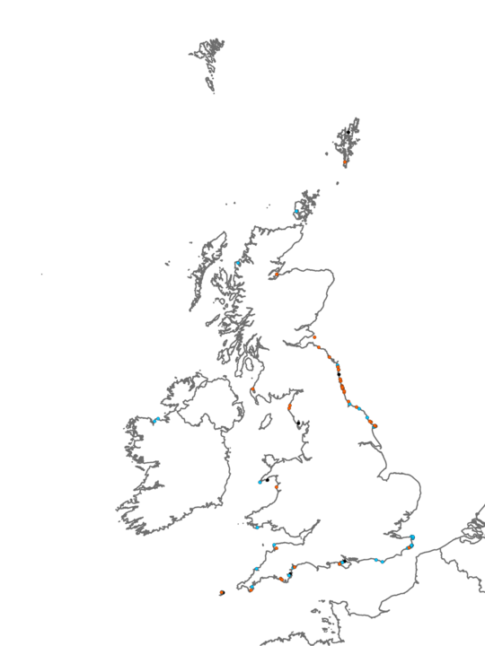 Distribution of habitat LR.MLR.BF.Rho <I>Rhodothamniella floridula</I> on sand-scoured lower eulittoral rock