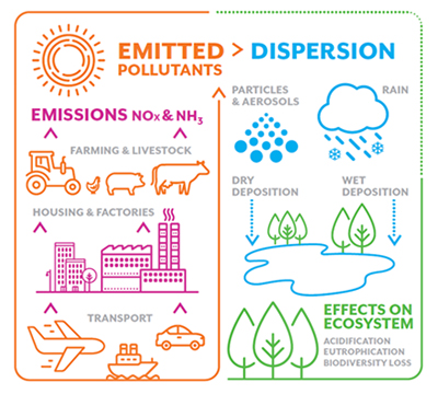 An infographic displaying sources of air pollution emissions and the effects on the environment (such as eutrophication and biodiversity loss) as the pollutants transfer from air to land and waterbodies through wet and dry deposition