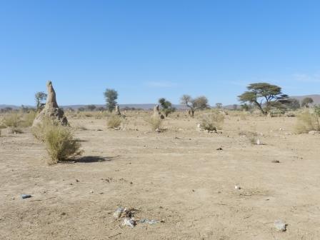 Arid landscape in Kunene region.