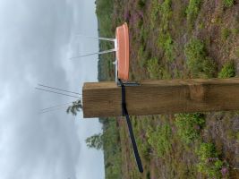 Thursley - APRI - sampler .jpg