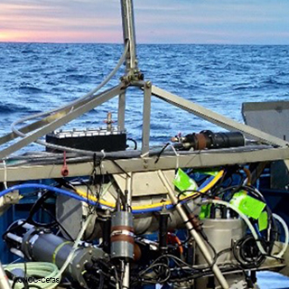 RM-Monitoring-MarMont©JNCC-Cefas.jpg