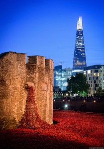 Ceramic poppies around the Tower of London