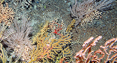 assessment-about-mpas-web.jpg