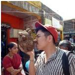 Investigating the produce on offer in Mapusa Market