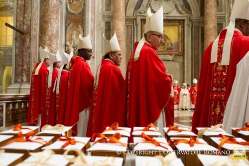 2015Pallium