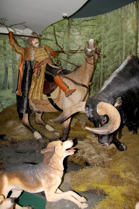 Natural history museum at Belovezhskaya Puscha