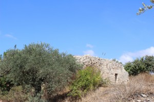 leb1