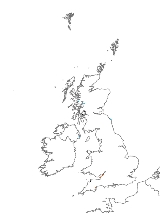 Distribution of habitat LS.LMx.GvMu.HedMx.Mac <I>Hediste diversicolor</I> and <I>Macoma balthica</I> in littoral gravelly mud